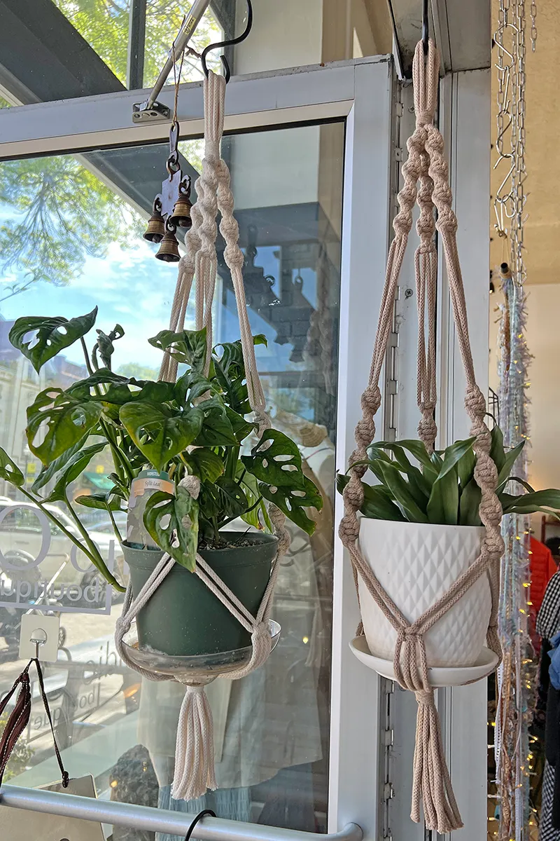 Macrame Plant Suspension